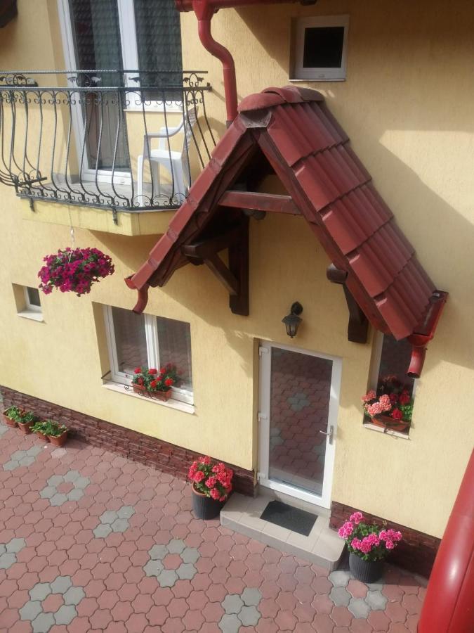 Pensiunea Magnolia Сибиу Екстериор снимка