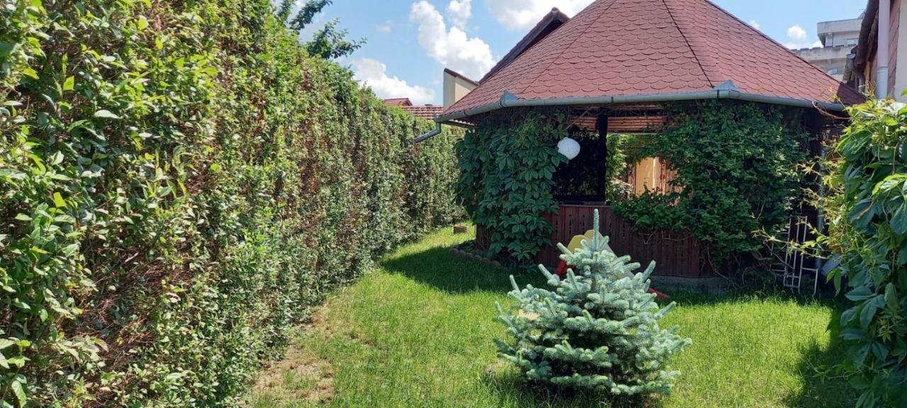 Pensiunea Magnolia Сибиу Екстериор снимка